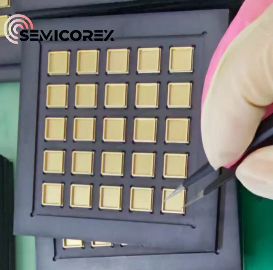 SiC-coated graphite jigs