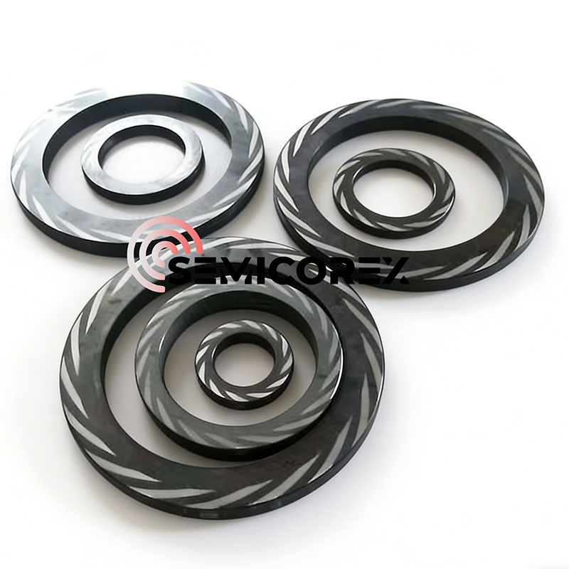 Faccia di tenuta SiC per DGS